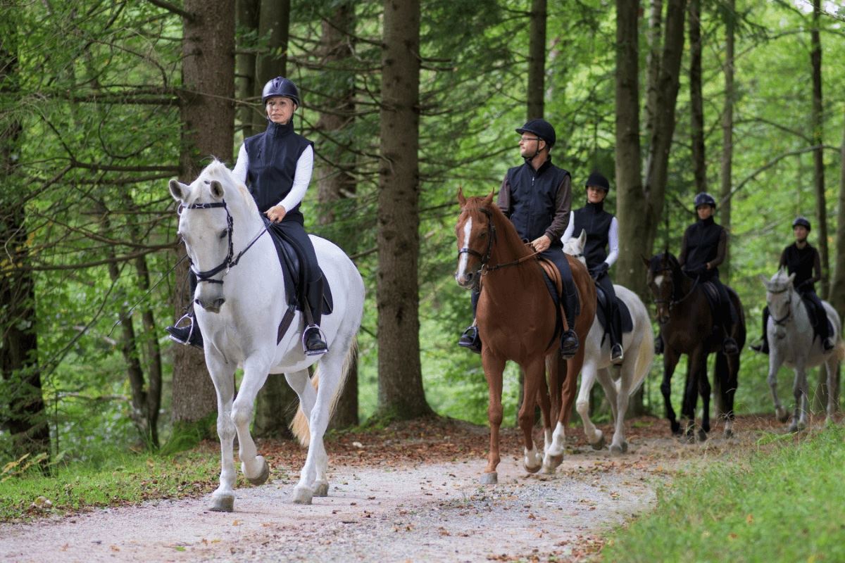 Horse Riding Tour in Side