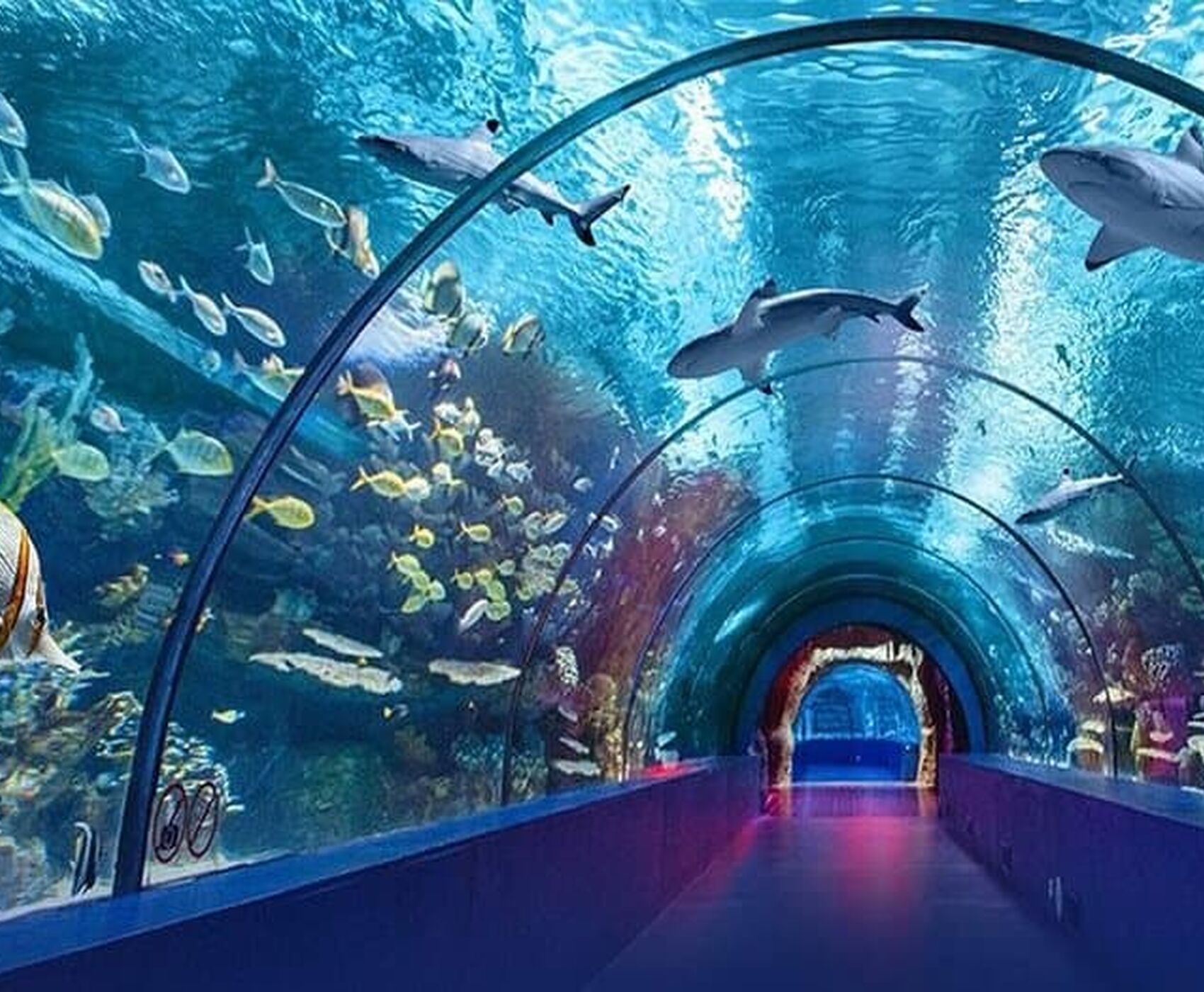 Antalya Akvaryum Turu