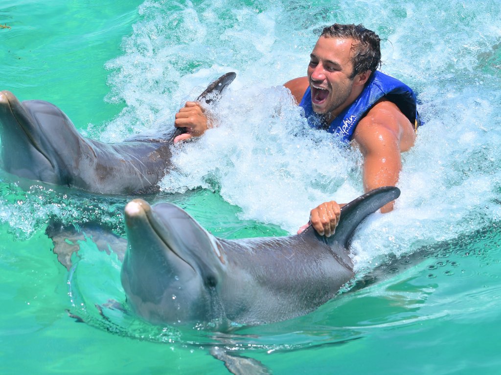 Yunuslarla Yüzme Sealanya Dolphinpark