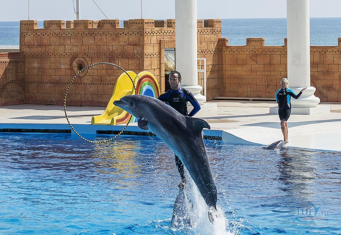 Alanya Yunus Gösterisi