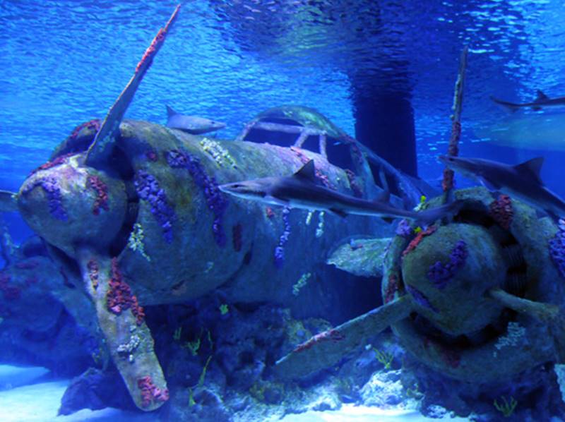 Antalya Akvaryum Turu