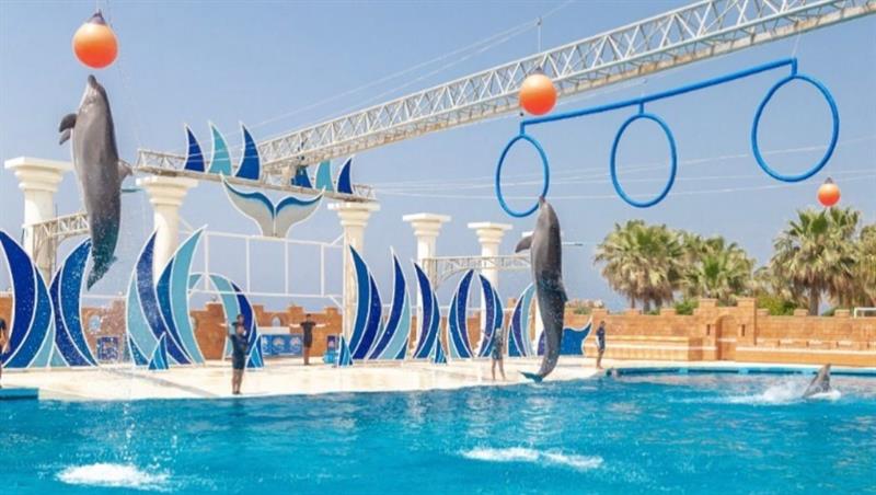 Alanya Yunus Gösterisi